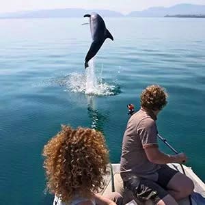 Volunteer in Marine Life | Programs, Guidance & Reviews
