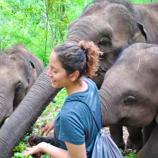 Volunteer in Thailand | Programs, Guidance & Reviews